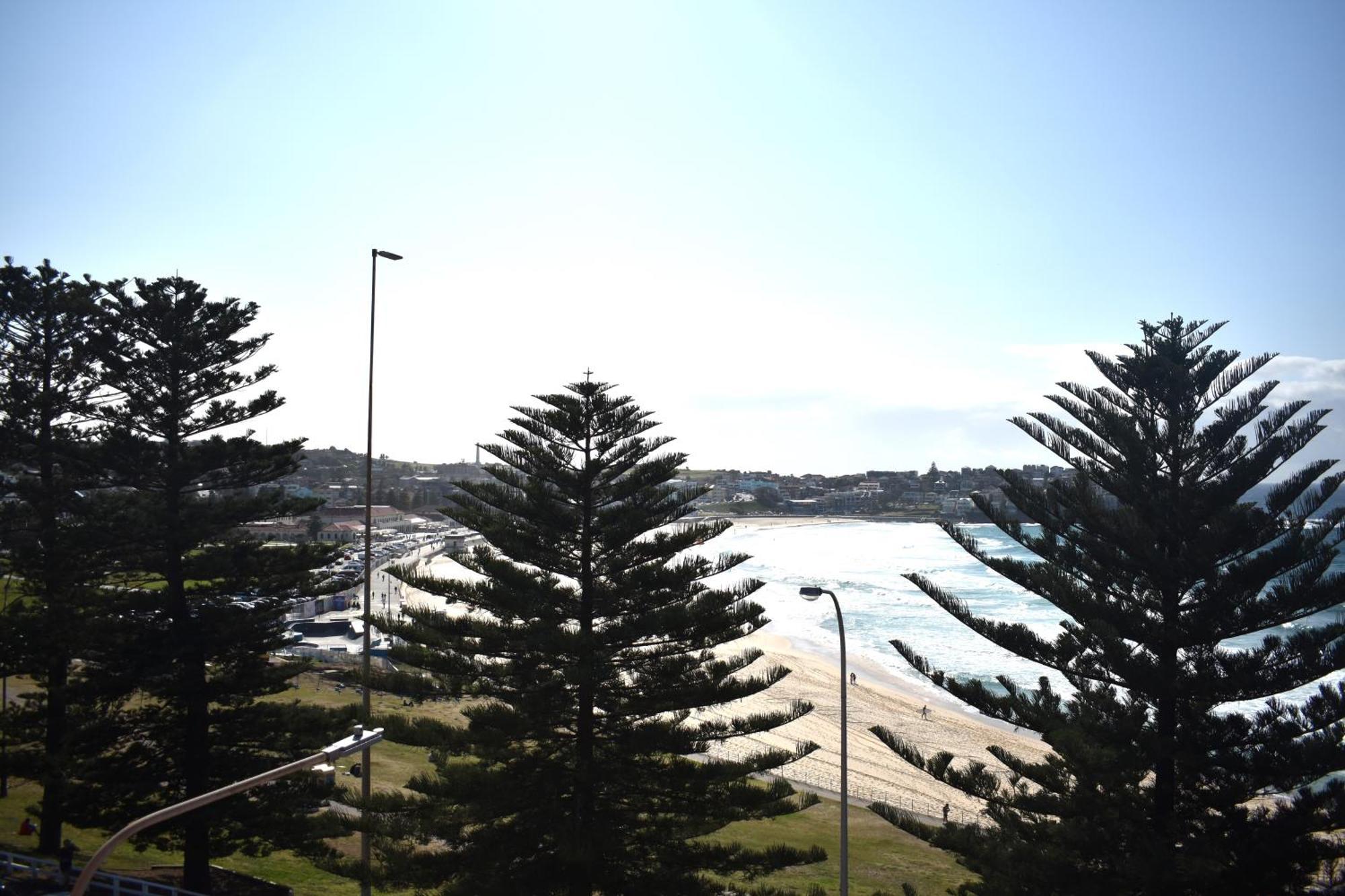 Bondi 38 Serviced Apartments Sydney Zewnętrze zdjęcie
